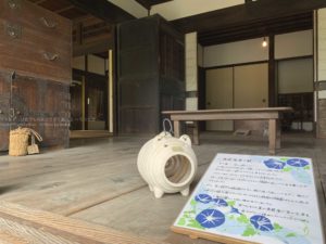 iPhoneのカメラでプロ並の写真を撮る３つのコツ！！