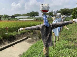 【iPhoneカメラの３つの魅力】iPhoneのカメラを使いこなせ