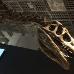 【夏休みの思い出に】上野の国立科学博物館で自由研究