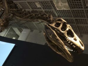 【夏休みの思い出に】上野の国立科学博物館で自由研究
