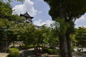 【国宝 犬山城】戦国の時代を生きぬいた名城！！