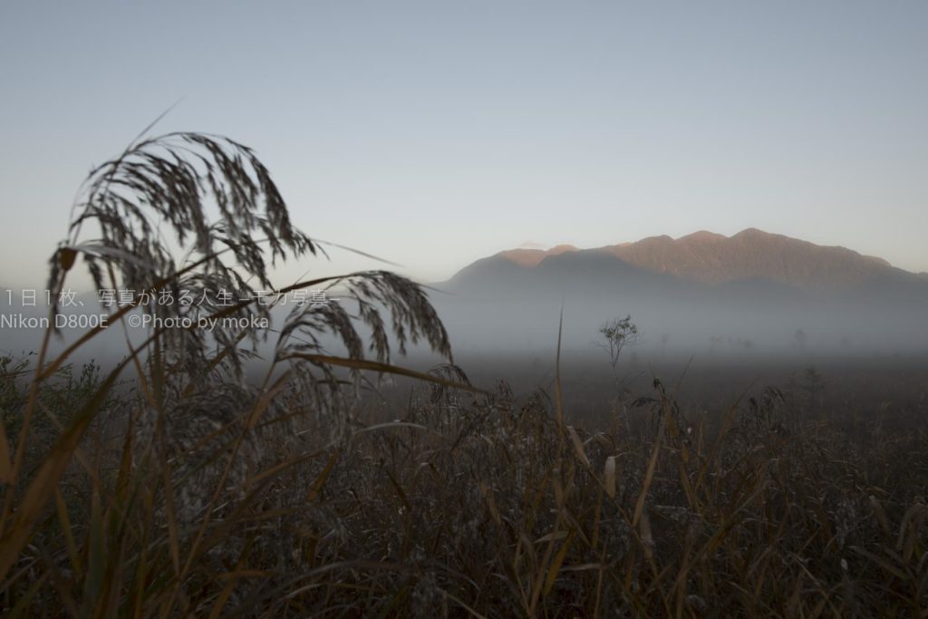 【日光のオススメ観光地】朝もやに包まれた戦場ヶ原