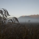 【日光のオススメ観光地】朝もやに包まれた戦場ヶ原