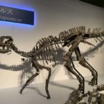 【新種の恐竜むかわ竜】北海道で発見された恐竜が新種と正式に認定