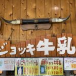 ジョッキ牛乳と聞くと、ドリフの「カトちゃんの健康牛乳」を思います