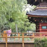 【上野の五重塔】上野動物園から見る上野東照宮の重要文化財