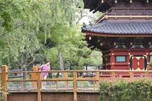 【上野の五重塔】上野動物園から見る上野東照宮の重要文化財