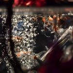 【アートアクアリウム2019】日本橋で開催の金魚の祭典