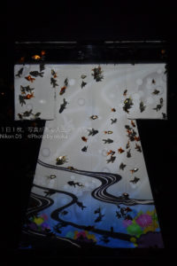 【キモノリウムの美しさ】芸術品のような美しい金魚の模様