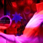 【アートアクアリウム】日本橋会場初登場のジャグジリウム