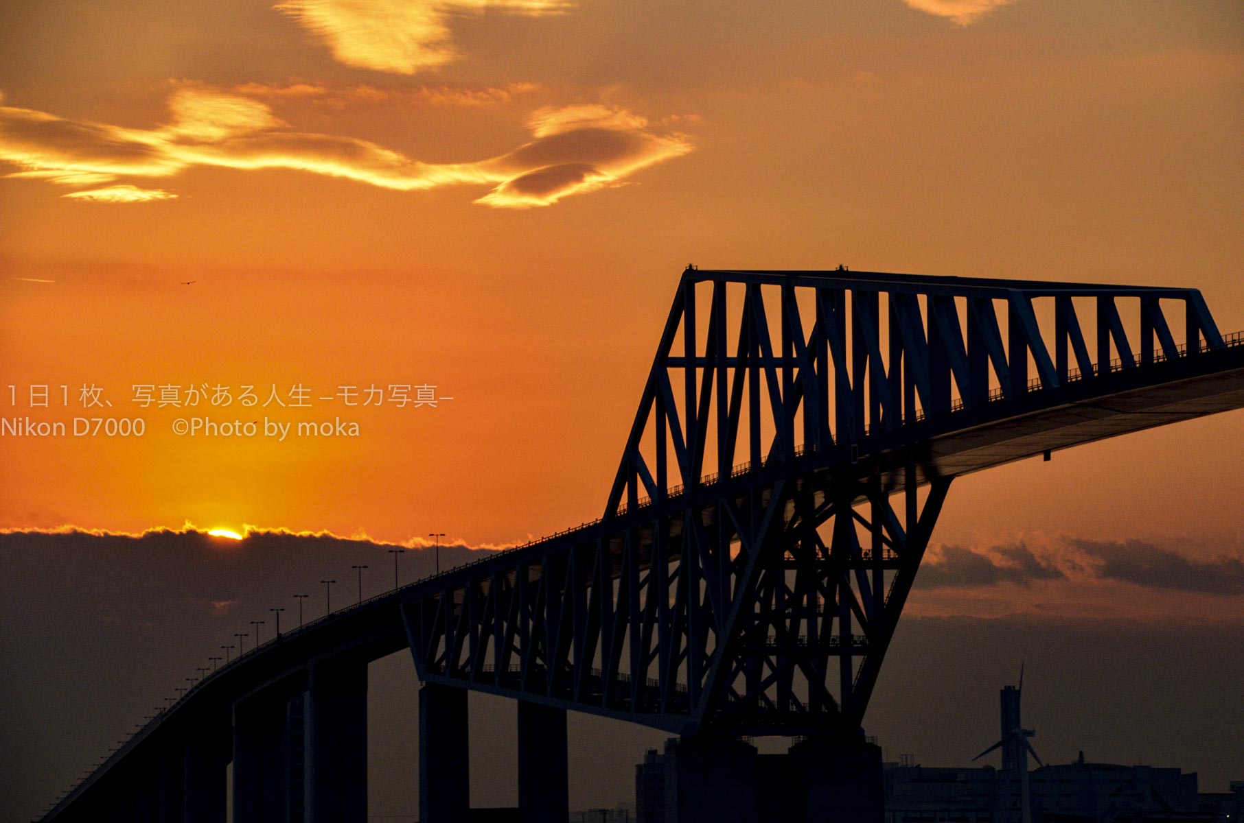 東京湾の名物 まるで恐竜のような橋 東京ゲートブリッジ