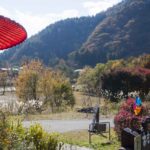 日本の四季、色づく紅葉！！