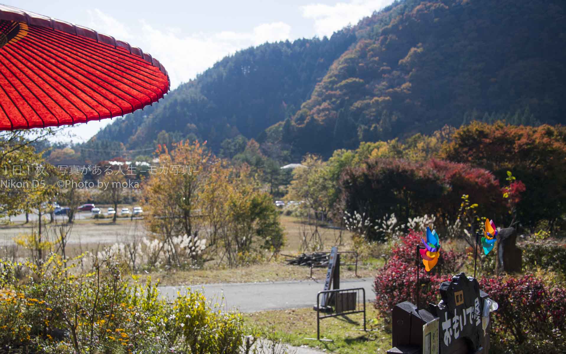 日本の四季、色づく紅葉！！