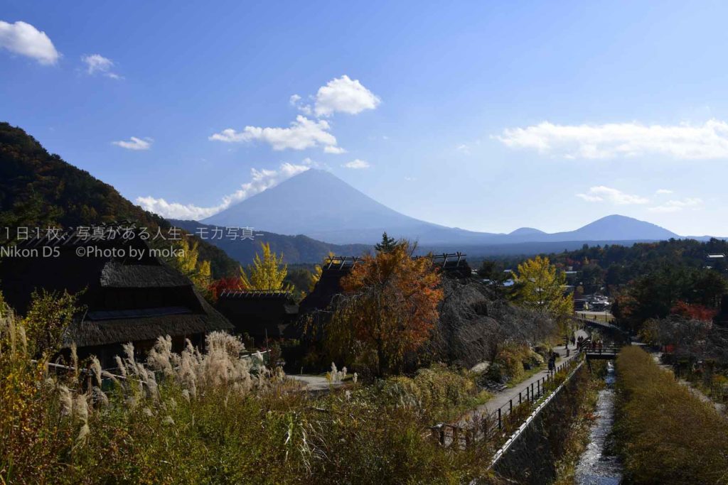 【紅葉スポット】日本の秋、富士を望む秋。