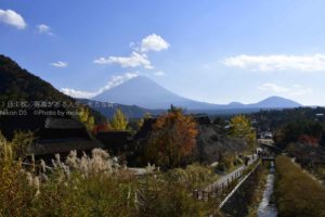 【紅葉スポット】日本の秋、富士を望む秋。