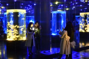 【東京 水族館】水族館で自撮り、狙うはインスタ映え！