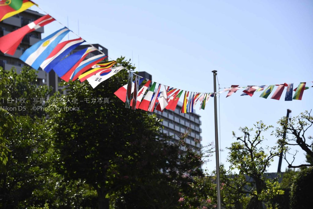 【秋の大運動会】保育園生活最後の運動会！！