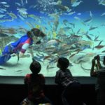 【サンシャインラグーン】透き通った大海の世界