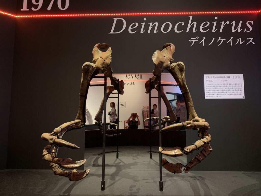 【恐竜博2019】新種の恐竜デイノケイルスの圧倒的な迫力