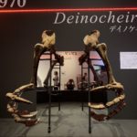 【恐竜博2019】新種の恐竜デイノケイルスの圧倒的な迫力