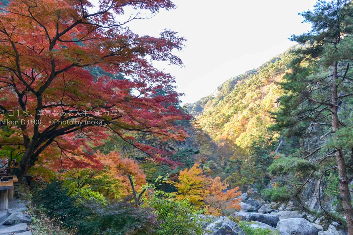【山梨県の絶景】秋が作り出す日本一の渓谷美「昇仙峡」
