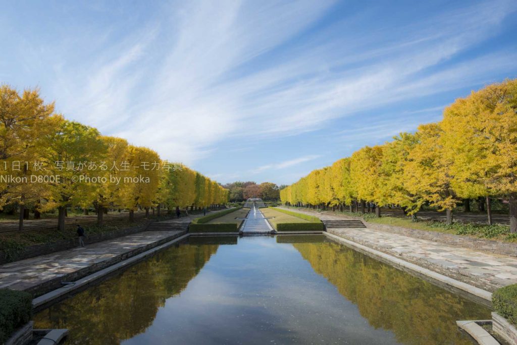 昭和記念公園で開催される「黄葉紅葉まつり」