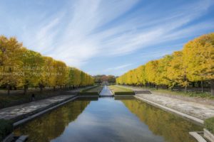 昭和記念公園で開催される「黄葉紅葉まつり」