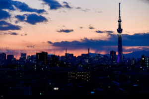 里見公園からスカイツリーを見よう!!