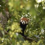 日本唯一の動物園コンサルタントも嫉妬する動物園とは！？