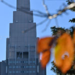 【都心の紅葉】新宿御苑で見る晩秋の風景