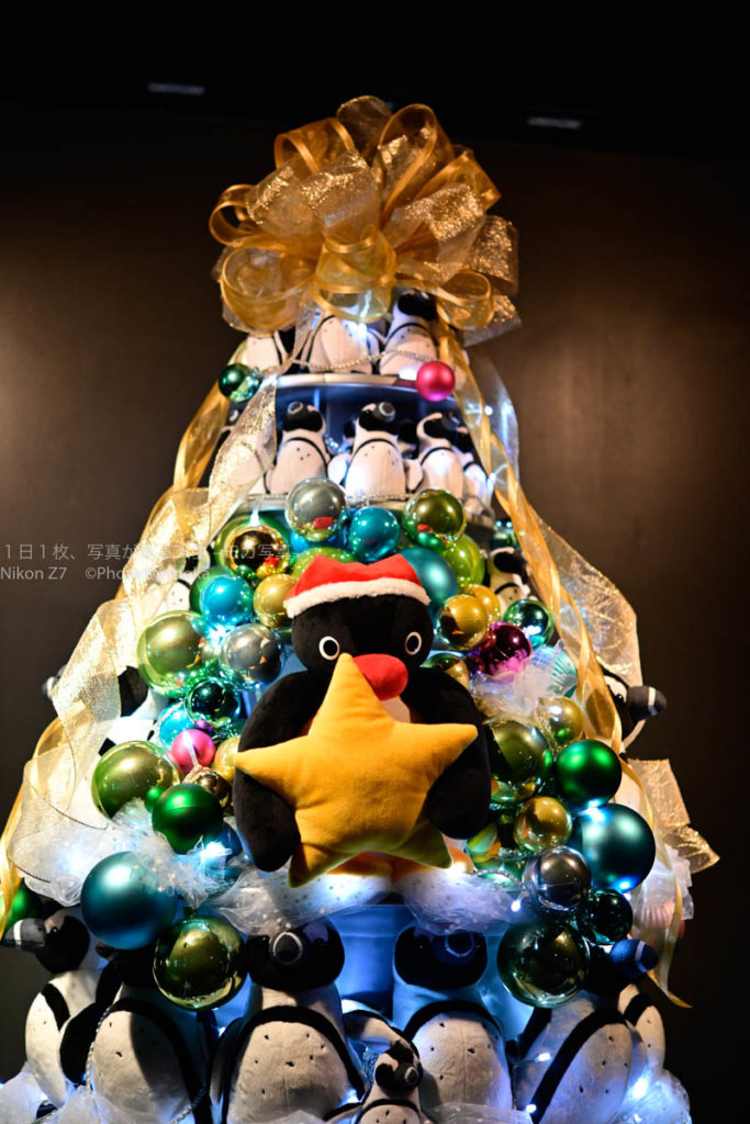 【水族館のクリスマス】ツリーの主役はペンギン！？