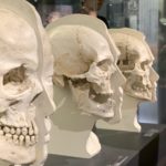 【特別展ミイラ】「永遠の命」を求めて世界のミイラが上野に集結