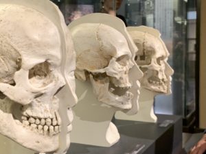 【特別展ミイラ】「永遠の命」を求めて世界のミイラが上野に集結