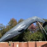 【SLとクジラはどっちが重い?】国立科学博物館で重さ比べ!!