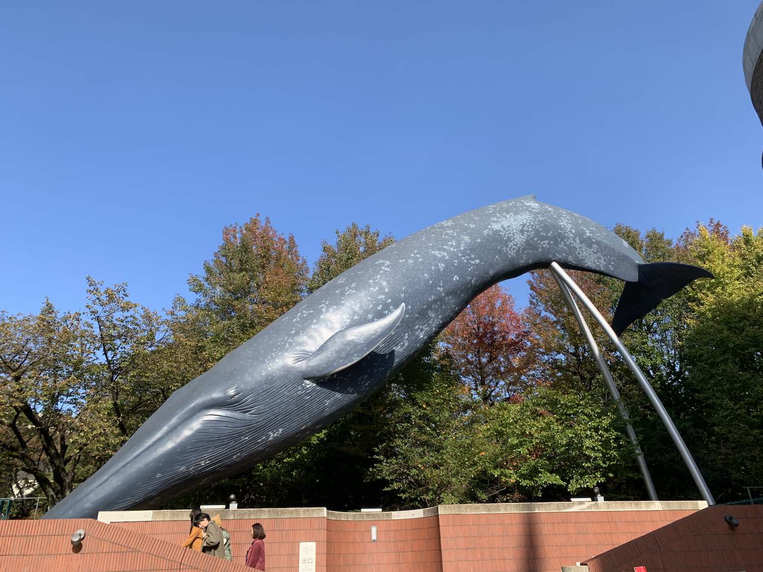 【SLとクジラはどっちが重い？】国立科学博物館で重さ比べ！！