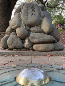 【飛鳥山登頂】標高25.4m、飛鳥山山頂に咲く花