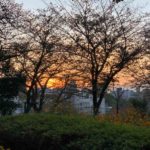 【秋の夕暮れ】飛鳥山公園で写真を撮ろう！！