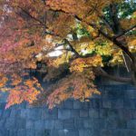 【東京の紅葉】皇居の中で楽しむ特別な紅葉