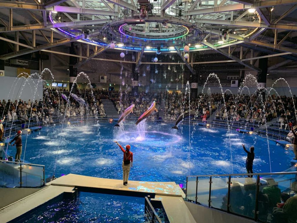 デジカメの代わりに、iPhoneで水族館撮影！！