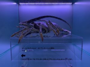 水族館のオブジェで撮影を楽しもう♫