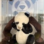 【上野といえばパンダ】上野駅のジャイアントパンダ!?