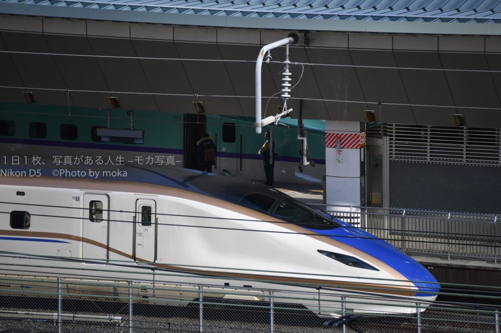 東京駅は新幹線の宝庫です！！
