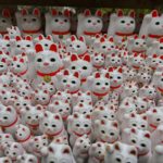 【ニコンカレッジ】豪徳寺の招き猫に招かれてスナップ撮影