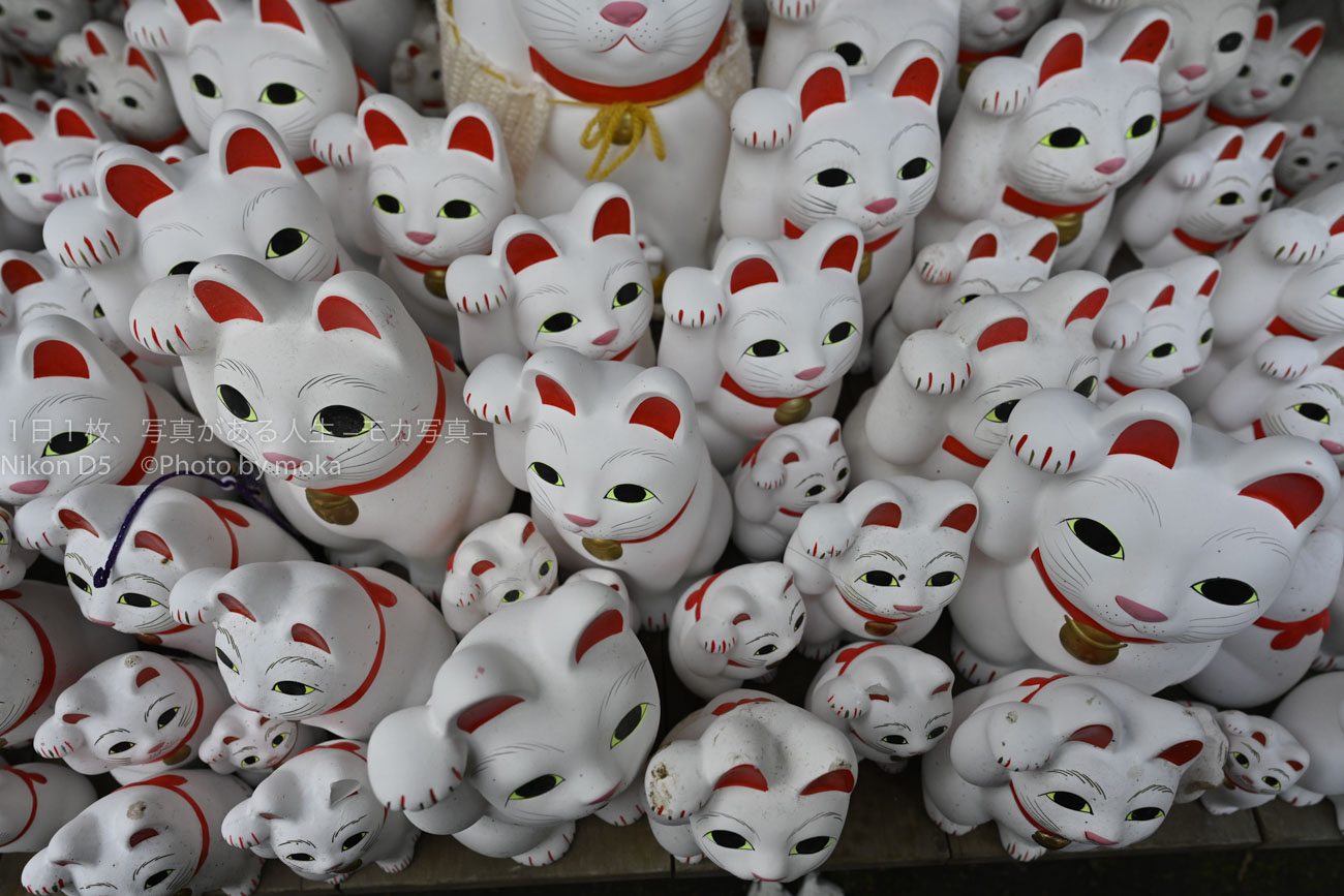 【猫好きが集まる！？】招き猫でいっぱいの「豪徳寺」