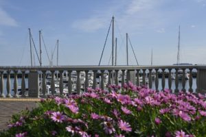 場所によって、熱海の海はモナコみたい！？