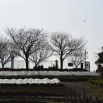 【公園スナップ写真】公園でシルエット写真を撮ってみた!