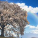 Luminar4でRAW現像してみよう!!
