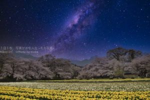 Luminar4でRAW現像をしてみよう! Part2