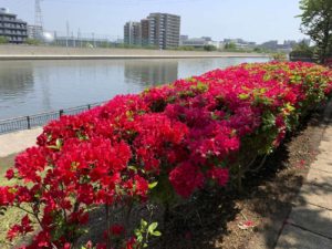 2020年のゴールデンウィークはどう過ごす！？