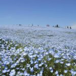 【写真で旅行】ゴールデンウィークは、家にいながら旅行気分 −Part1−